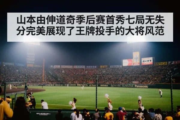 baseball stadium night