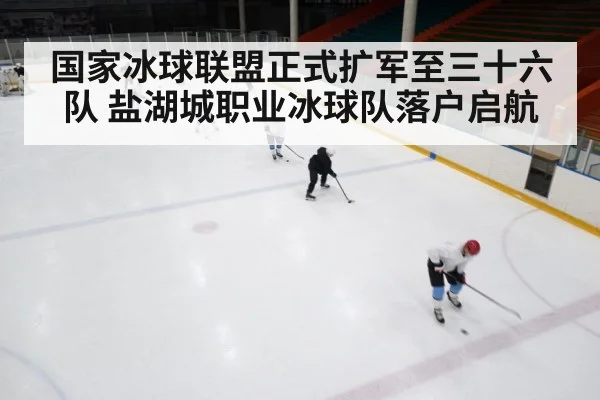 国家冰球联盟正式扩军至三十六队 盐湖城职业冰球队落户启航